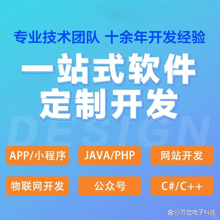 孟关软件开发